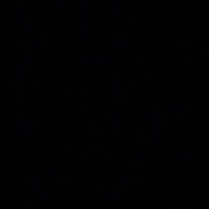 Meet your Posher, Bernice